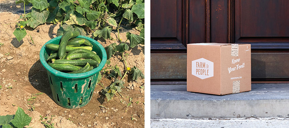 Farm To People Pictures