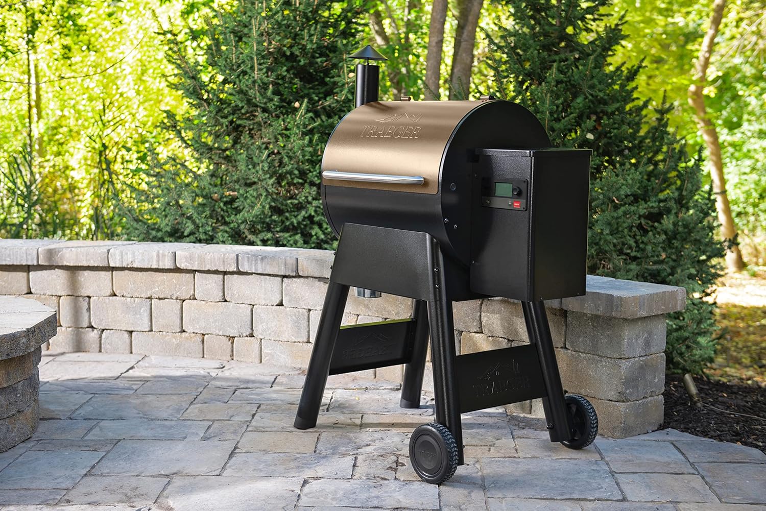 Traeger Pro 575 Smoker