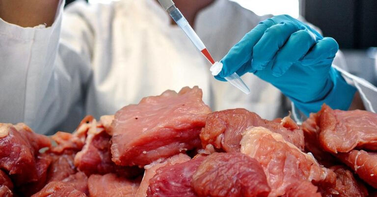 Florida Bans Lab-Grown Meat