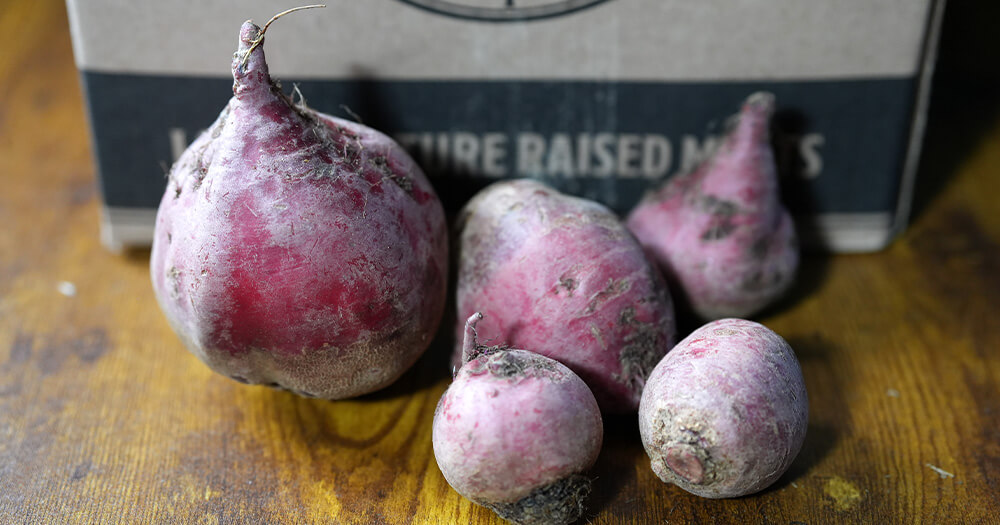 Turnips From Lilac Hedge Farm