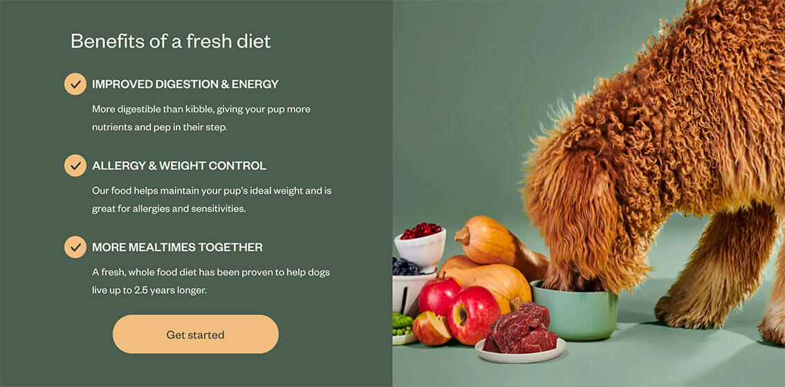 Ollie Benefits of a Fresh Diet