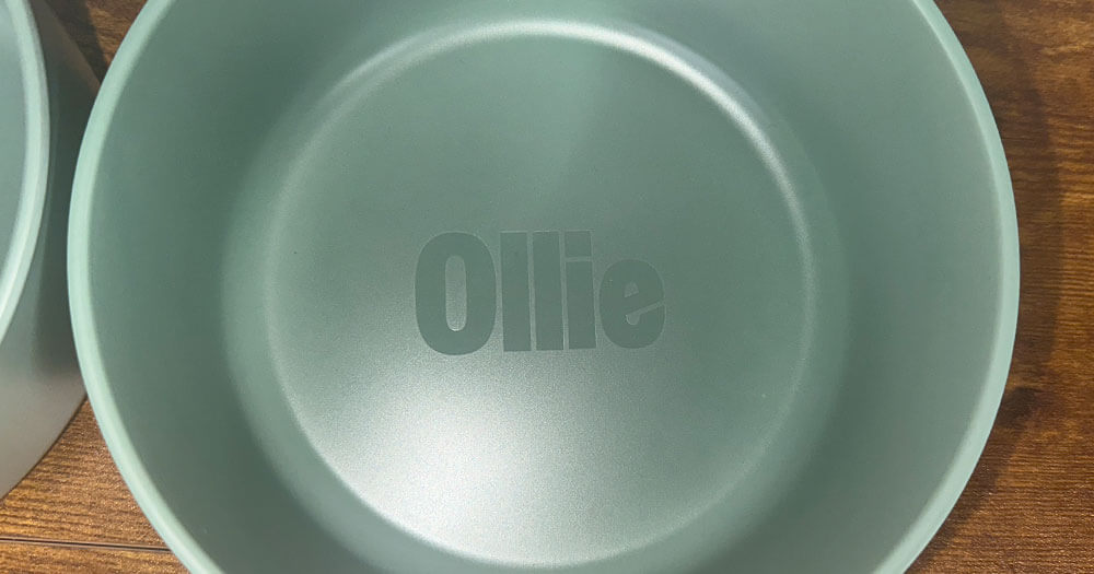 Ollie Dog Bowl