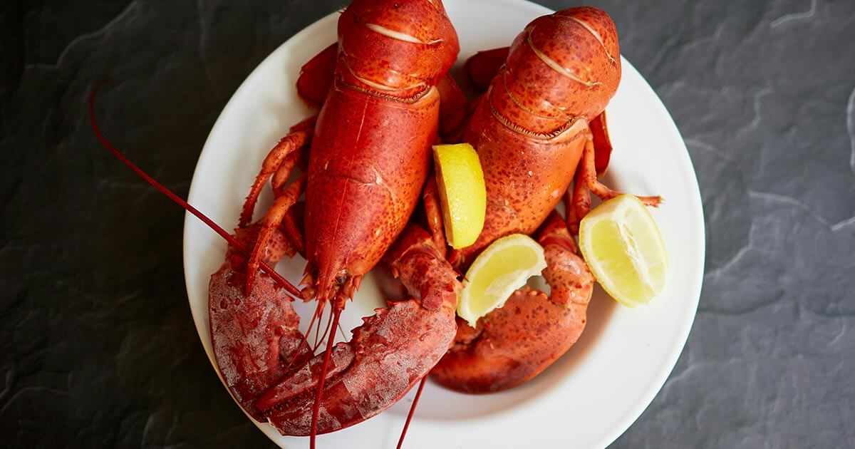 Twin Cooked Lobsters